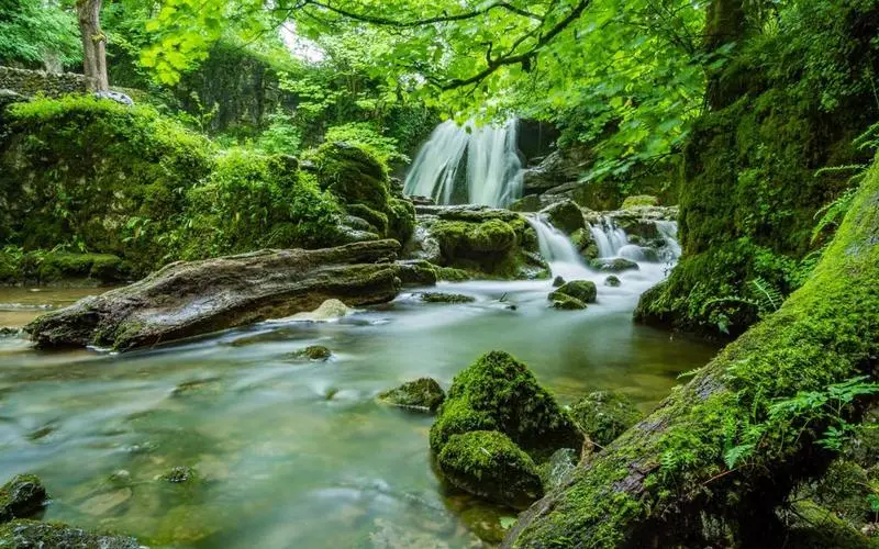 高质量智能系统智能